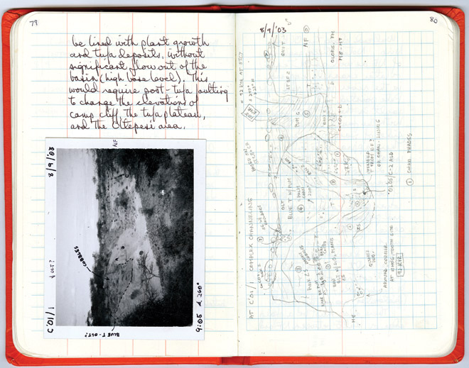 Field Notes from the Wildernesss
